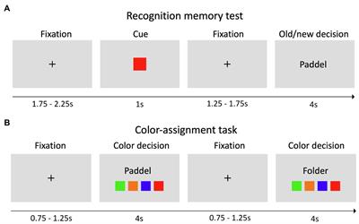 Set Size of Information in Long-Term Memory Similarly Modulates Retrieval Dynamics in Young and Older Adults